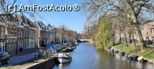 [P48] Harleem, Kampersingel » foto by mprofeanu
 - 
<span class="allrVoted glyphicon glyphicon-heart hidden" id="av1479607"></span>
<a class="m-l-10 hidden" id="sv1479607" onclick="voting_Foto_DelVot(,1479607,1639)" role="button">șterge vot <span class="glyphicon glyphicon-remove"></span></a>
<a id="v91479607" class=" c-red"  onclick="voting_Foto_SetVot(1479607)" role="button"><span class="glyphicon glyphicon-heart-empty"></span> <b>LIKE</b> = Votează poza</a> <img class="hidden"  id="f1479607W9" src="/imagini/loader.gif" border="0" /><span class="AjErrMes hidden" id="e1479607ErM"></span>