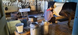 [P13] Zaanse Schans, Ferma de brânzeturi „Catharina”, Henri și Animalele lui » foto by mprofeanu
 - 
<span class="allrVoted glyphicon glyphicon-heart hidden" id="av1515066"></span>
<a class="m-l-10 hidden" id="sv1515066" onclick="voting_Foto_DelVot(,1515066,1639)" role="button">șterge vot <span class="glyphicon glyphicon-remove"></span></a>
<a id="v91515066" class=" c-red"  onclick="voting_Foto_SetVot(1515066)" role="button"><span class="glyphicon glyphicon-heart-empty"></span> <b>LIKE</b> = Votează poza</a> <img class="hidden"  id="f1515066W9" src="/imagini/loader.gif" border="0" /><span class="AjErrMes hidden" id="e1515066ErM"></span>