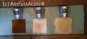 [P15] Zaanse Schans, Ferma de brânzeturi „Catharina”, Măsuri și rețetar de brânză » foto by mprofeanu
 - 
<span class="allrVoted glyphicon glyphicon-heart hidden" id="av1515068"></span>
<a class="m-l-10 hidden" id="sv1515068" onclick="voting_Foto_DelVot(,1515068,1639)" role="button">șterge vot <span class="glyphicon glyphicon-remove"></span></a>
<a id="v91515068" class=" c-red"  onclick="voting_Foto_SetVot(1515068)" role="button"><span class="glyphicon glyphicon-heart-empty"></span> <b>LIKE</b> = Votează poza</a> <img class="hidden"  id="f1515068W9" src="/imagini/loader.gif" border="0" /><span class="AjErrMes hidden" id="e1515068ErM"></span>