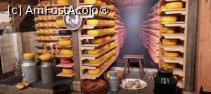 [P16] Zaanse Schans, Ferma de brânzeturi „Catharina”, Interior cu brânzeturi » foto by mprofeanu
 - 
<span class="allrVoted glyphicon glyphicon-heart hidden" id="av1515069"></span>
<a class="m-l-10 hidden" id="sv1515069" onclick="voting_Foto_DelVot(,1515069,1639)" role="button">șterge vot <span class="glyphicon glyphicon-remove"></span></a>
<a id="v91515069" class=" c-red"  onclick="voting_Foto_SetVot(1515069)" role="button"><span class="glyphicon glyphicon-heart-empty"></span> <b>LIKE</b> = Votează poza</a> <img class="hidden"  id="f1515069W9" src="/imagini/loader.gif" border="0" /><span class="AjErrMes hidden" id="e1515069ErM"></span>