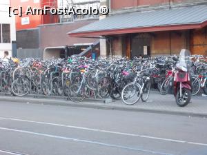 [P20] Parcarea de biciclete din fața gării.  » foto by mihaelavoicu
 - 
<span class="allrVoted glyphicon glyphicon-heart hidden" id="av986554"></span>
<a class="m-l-10 hidden" id="sv986554" onclick="voting_Foto_DelVot(,986554,1639)" role="button">șterge vot <span class="glyphicon glyphicon-remove"></span></a>
<a id="v9986554" class=" c-red"  onclick="voting_Foto_SetVot(986554)" role="button"><span class="glyphicon glyphicon-heart-empty"></span> <b>LIKE</b> = Votează poza</a> <img class="hidden"  id="f986554W9" src="/imagini/loader.gif" border="0" /><span class="AjErrMes hidden" id="e986554ErM"></span>