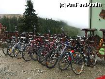 [P21] bicicletele pentru inchiriat in fata pensiunii » foto by valimi
 - 
<span class="allrVoted glyphicon glyphicon-heart hidden" id="av74557"></span>
<a class="m-l-10 hidden" id="sv74557" onclick="voting_Foto_DelVot(,74557,1755)" role="button">șterge vot <span class="glyphicon glyphicon-remove"></span></a>
<a id="v974557" class=" c-red"  onclick="voting_Foto_SetVot(74557)" role="button"><span class="glyphicon glyphicon-heart-empty"></span> <b>LIKE</b> = Votează poza</a> <img class="hidden"  id="f74557W9" src="/imagini/loader.gif" border="0" /><span class="AjErrMes hidden" id="e74557ErM"></span>