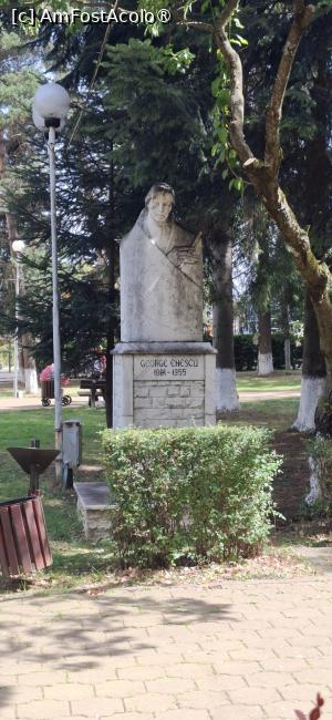 [P31] Vatra Dornei - George Enescu in parcul central. » foto by iulianic
 - 
<span class="allrVoted glyphicon glyphicon-heart hidden" id="av1544229"></span>
<a class="m-l-10 hidden" id="sv1544229" onclick="voting_Foto_DelVot(,1544229,1782)" role="button">șterge vot <span class="glyphicon glyphicon-remove"></span></a>
<a id="v91544229" class=" c-red"  onclick="voting_Foto_SetVot(1544229)" role="button"><span class="glyphicon glyphicon-heart-empty"></span> <b>LIKE</b> = Votează poza</a> <img class="hidden"  id="f1544229W9" src="/imagini/loader.gif" border="0" /><span class="AjErrMes hidden" id="e1544229ErM"></span>