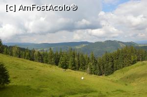 P09 [JUL-2018] Vedere panoramică de pe Dealul Negru. Vatra Dornei, jud. Suceava. 