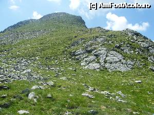 [P13] Vârful Iezerul Caprei (2340m) văzut din Şaua Caprei » foto by Vasile S
 - 
<span class="allrVoted glyphicon glyphicon-heart hidden" id="av368257"></span>
<a class="m-l-10 hidden" id="sv368257" onclick="voting_Foto_DelVot(,368257,1790)" role="button">șterge vot <span class="glyphicon glyphicon-remove"></span></a>
<a id="v9368257" class=" c-red"  onclick="voting_Foto_SetVot(368257)" role="button"><span class="glyphicon glyphicon-heart-empty"></span> <b>LIKE</b> = Votează poza</a> <img class="hidden"  id="f368257W9" src="/imagini/loader.gif" border="0" /><span class="AjErrMes hidden" id="e368257ErM"></span>