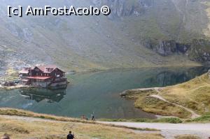 [P06] Transfagarasan, sept. 2016 » foto by Dana2008
 - 
<span class="allrVoted glyphicon glyphicon-heart hidden" id="av822288"></span>
<a class="m-l-10 hidden" id="sv822288" onclick="voting_Foto_DelVot(,822288,1790)" role="button">șterge vot <span class="glyphicon glyphicon-remove"></span></a>
<a id="v9822288" class=" c-red"  onclick="voting_Foto_SetVot(822288)" role="button"><span class="glyphicon glyphicon-heart-empty"></span> <b>LIKE</b> = Votează poza</a> <img class="hidden"  id="f822288W9" src="/imagini/loader.gif" border="0" /><span class="AjErrMes hidden" id="e822288ErM"></span>