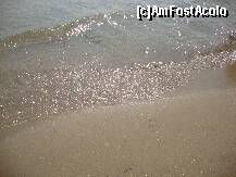 [P21] Marea Neagra limpede si calda » foto by lucianaalex
 - 
<span class="allrVoted glyphicon glyphicon-heart hidden" id="av125172"></span>
<a class="m-l-10 hidden" id="sv125172" onclick="voting_Foto_DelVot(,125172,1946)" role="button">șterge vot <span class="glyphicon glyphicon-remove"></span></a>
<a id="v9125172" class=" c-red"  onclick="voting_Foto_SetVot(125172)" role="button"><span class="glyphicon glyphicon-heart-empty"></span> <b>LIKE</b> = Votează poza</a> <img class="hidden"  id="f125172W9" src="/imagini/loader.gif" border="0" /><span class="AjErrMes hidden" id="e125172ErM"></span>