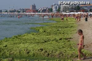 [P10]  -- <small>// FĂRĂ DESCRIERE</small> » foto by Victoras
 - 
<span class="allrVoted glyphicon glyphicon-heart hidden" id="av337830"></span>
<a class="m-l-10 hidden" id="sv337830" onclick="voting_Foto_DelVot(,337830,1946)" role="button">șterge vot <span class="glyphicon glyphicon-remove"></span></a>
<a id="v9337830" class=" c-red"  onclick="voting_Foto_SetVot(337830)" role="button"><span class="glyphicon glyphicon-heart-empty"></span> <b>LIKE</b> = Votează poza</a> <img class="hidden"  id="f337830W9" src="/imagini/loader.gif" border="0" /><span class="AjErrMes hidden" id="e337830ErM"></span>