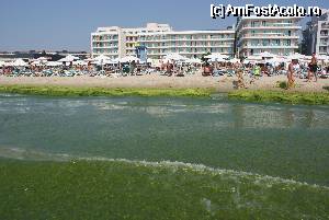 [P11]  -- <small>// FĂRĂ DESCRIERE</small> » foto by Victoras
 - 
<span class="allrVoted glyphicon glyphicon-heart hidden" id="av337834"></span>
<a class="m-l-10 hidden" id="sv337834" onclick="voting_Foto_DelVot(,337834,1946)" role="button">șterge vot <span class="glyphicon glyphicon-remove"></span></a>
<a id="v9337834" class=" c-red"  onclick="voting_Foto_SetVot(337834)" role="button"><span class="glyphicon glyphicon-heart-empty"></span> <b>LIKE</b> = Votează poza</a> <img class="hidden"  id="f337834W9" src="/imagini/loader.gif" border="0" /><span class="AjErrMes hidden" id="e337834ErM"></span>