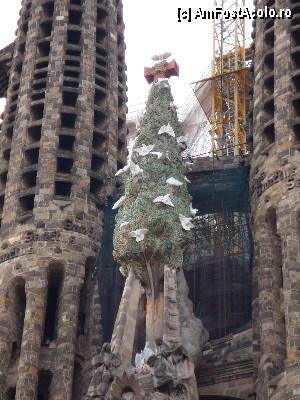 [P18] Barcelona, Basilica de la Sagrada Familia: detaliu de pe fațada Nașterii » foto by mariana.olaru
 - 
<span class="allrVoted glyphicon glyphicon-heart hidden" id="av368743"></span>
<a class="m-l-10 hidden" id="sv368743" onclick="voting_Foto_DelVot(,368743,1999)" role="button">șterge vot <span class="glyphicon glyphicon-remove"></span></a>
<a id="v9368743" class=" c-red"  onclick="voting_Foto_SetVot(368743)" role="button"><span class="glyphicon glyphicon-heart-empty"></span> <b>LIKE</b> = Votează poza</a> <img class="hidden"  id="f368743W9" src="/imagini/loader.gif" border="0" /><span class="AjErrMes hidden" id="e368743ErM"></span>