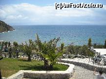 [P36] am postat aceasta poza pt acei care m-au intrebat daca este verdeata. eu zic ca este. » foto by michele
 - 
<span class="allrVoted glyphicon glyphicon-heart hidden" id="av79492"></span>
<a class="m-l-10 hidden" id="sv79492" onclick="voting_Foto_DelVot(,79492,2171)" role="button">șterge vot <span class="glyphicon glyphicon-remove"></span></a>
<a id="v979492" class=" c-red"  onclick="voting_Foto_SetVot(79492)" role="button"><span class="glyphicon glyphicon-heart-empty"></span> <b>LIKE</b> = Votează poza</a> <img class="hidden"  id="f79492W9" src="/imagini/loader.gif" border="0" /><span class="AjErrMes hidden" id="e79492ErM"></span>