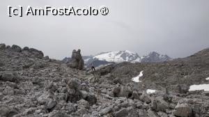 [P02] Explorand zona Piz Boè » foto by elenaadina
 - 
<span class="allrVoted glyphicon glyphicon-heart hidden" id="av1510791"></span>
<a class="m-l-10 hidden" id="sv1510791" onclick="voting_Foto_DelVot(,1510791,2211)" role="button">șterge vot <span class="glyphicon glyphicon-remove"></span></a>
<a id="v91510791" class=" c-red"  onclick="voting_Foto_SetVot(1510791)" role="button"><span class="glyphicon glyphicon-heart-empty"></span> <b>LIKE</b> = Votează poza</a> <img class="hidden"  id="f1510791W9" src="/imagini/loader.gif" border="0" /><span class="AjErrMes hidden" id="e1510791ErM"></span>