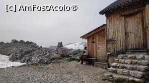 [P40]  -- <small>// FĂRĂ DESCRIERE</small> » foto by elenaadina
 - 
<span class="allrVoted glyphicon glyphicon-heart hidden" id="av1510829"></span>
<a class="m-l-10 hidden" id="sv1510829" onclick="voting_Foto_DelVot(,1510829,2211)" role="button">șterge vot <span class="glyphicon glyphicon-remove"></span></a>
<a id="v91510829" class=" c-red"  onclick="voting_Foto_SetVot(1510829)" role="button"><span class="glyphicon glyphicon-heart-empty"></span> <b>LIKE</b> = Votează poza</a> <img class="hidden"  id="f1510829W9" src="/imagini/loader.gif" border="0" /><span class="AjErrMes hidden" id="e1510829ErM"></span>