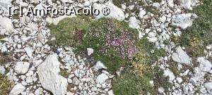 [P08]  -- <small>// FĂRĂ DESCRIERE</small> » foto by elenaadina
 - 
<span class="allrVoted glyphicon glyphicon-heart hidden" id="av1510797"></span>
<a class="m-l-10 hidden" id="sv1510797" onclick="voting_Foto_DelVot(,1510797,2211)" role="button">șterge vot <span class="glyphicon glyphicon-remove"></span></a>
<a id="v91510797" class=" c-red"  onclick="voting_Foto_SetVot(1510797)" role="button"><span class="glyphicon glyphicon-heart-empty"></span> <b>LIKE</b> = Votează poza</a> <img class="hidden"  id="f1510797W9" src="/imagini/loader.gif" border="0" /><span class="AjErrMes hidden" id="e1510797ErM"></span>