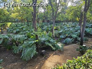 [P25] Vegetația luxuriantă a grădinilor » foto by Opelantara
 - 
<span class="allrVoted glyphicon glyphicon-heart hidden" id="av1549690"></span>
<a class="m-l-10 hidden" id="sv1549690" onclick="voting_Foto_DelVot(,1549690,2251)" role="button">șterge vot <span class="glyphicon glyphicon-remove"></span></a>
<a id="v91549690" class=" c-red"  onclick="voting_Foto_SetVot(1549690)" role="button"><span class="glyphicon glyphicon-heart-empty"></span> <b>LIKE</b> = Votează poza</a> <img class="hidden"  id="f1549690W9" src="/imagini/loader.gif" border="0" /><span class="AjErrMes hidden" id="e1549690ErM"></span>