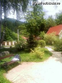 P17 [JUN-2011] Gradina linga lacul Ciucas