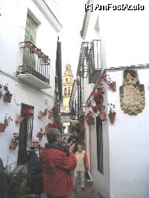 [P20] Cordoba- Calleja de la Flores » foto by Michi
 - 
<span class="allrVoted glyphicon glyphicon-heart hidden" id="av74956"></span>
<a class="m-l-10 hidden" id="sv74956" onclick="voting_Foto_DelVot(,74956,2304)" role="button">șterge vot <span class="glyphicon glyphicon-remove"></span></a>
<a id="v974956" class=" c-red"  onclick="voting_Foto_SetVot(74956)" role="button"><span class="glyphicon glyphicon-heart-empty"></span> <b>LIKE</b> = Votează poza</a> <img class="hidden"  id="f74956W9" src="/imagini/loader.gif" border="0" /><span class="AjErrMes hidden" id="e74956ErM"></span>