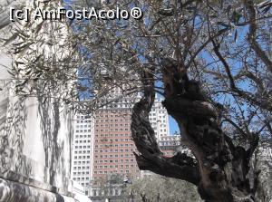 [P12] Plaza de Espana, admir Edificio Espana!  » foto by balasa violeta
 - 
<span class="allrVoted glyphicon glyphicon-heart hidden" id="av742353"></span>
<a class="m-l-10 hidden" id="sv742353" onclick="voting_Foto_DelVot(,742353,2442)" role="button">șterge vot <span class="glyphicon glyphicon-remove"></span></a>
<a id="v9742353" class=" c-red"  onclick="voting_Foto_SetVot(742353)" role="button"><span class="glyphicon glyphicon-heart-empty"></span> <b>LIKE</b> = Votează poza</a> <img class="hidden"  id="f742353W9" src="/imagini/loader.gif" border="0" /><span class="AjErrMes hidden" id="e742353ErM"></span>