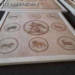 [P51] Sousse, Muzeul de Arheologie, Patio cu mozaicuri pe podea » foto by mprofeanu
 - 
<span class="allrVoted glyphicon glyphicon-heart hidden" id="av1440796"></span>
<a class="m-l-10 hidden" id="sv1440796" onclick="voting_Foto_DelVot(,1440796,2508)" role="button">șterge vot <span class="glyphicon glyphicon-remove"></span></a>
<a id="v91440796" class=" c-red"  onclick="voting_Foto_SetVot(1440796)" role="button"><span class="glyphicon glyphicon-heart-empty"></span> <b>LIKE</b> = Votează poza</a> <img class="hidden"  id="f1440796W9" src="/imagini/loader.gif" border="0" /><span class="AjErrMes hidden" id="e1440796ErM"></span>