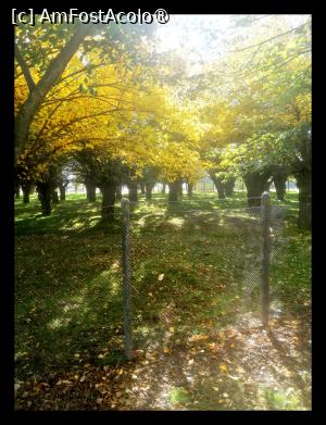 [P17]  -- <small>// FĂRĂ DESCRIERE</small> » foto by Cristian_h
 - 
<span class="allrVoted glyphicon glyphicon-heart hidden" id="av1504799"></span>
<a class="m-l-10 hidden" id="sv1504799" onclick="voting_Foto_DelVot(,1504799,2510)" role="button">șterge vot <span class="glyphicon glyphicon-remove"></span></a>
<a id="v91504799" class=" c-red"  onclick="voting_Foto_SetVot(1504799)" role="button"><span class="glyphicon glyphicon-heart-empty"></span> <b>LIKE</b> = Votează poza</a> <img class="hidden"  id="f1504799W9" src="/imagini/loader.gif" border="0" /><span class="AjErrMes hidden" id="e1504799ErM"></span>