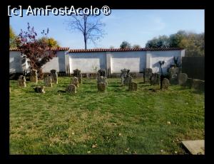 [P02]  -- <small>// FĂRĂ DESCRIERE</small> » foto by Cristian_h
 - 
<span class="allrVoted glyphicon glyphicon-heart hidden" id="av1504784"></span>
<a class="m-l-10 hidden" id="sv1504784" onclick="voting_Foto_DelVot(,1504784,2510)" role="button">șterge vot <span class="glyphicon glyphicon-remove"></span></a>
<a id="v91504784" class=" c-red"  onclick="voting_Foto_SetVot(1504784)" role="button"><span class="glyphicon glyphicon-heart-empty"></span> <b>LIKE</b> = Votează poza</a> <img class="hidden"  id="f1504784W9" src="/imagini/loader.gif" border="0" /><span class="AjErrMes hidden" id="e1504784ErM"></span>