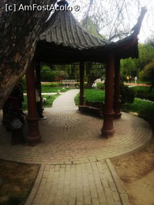 [P18]  -- <small>// FĂRĂ DESCRIERE</small> » foto by Cristian_h
 - 
<span class="allrVoted glyphicon glyphicon-heart hidden" id="av1524770"></span>
<a class="m-l-10 hidden" id="sv1524770" onclick="voting_Foto_DelVot(,1524770,2510)" role="button">șterge vot <span class="glyphicon glyphicon-remove"></span></a>
<a id="v91524770" class=" c-red"  onclick="voting_Foto_SetVot(1524770)" role="button"><span class="glyphicon glyphicon-heart-empty"></span> <b>LIKE</b> = Votează poza</a> <img class="hidden"  id="f1524770W9" src="/imagini/loader.gif" border="0" /><span class="AjErrMes hidden" id="e1524770ErM"></span>