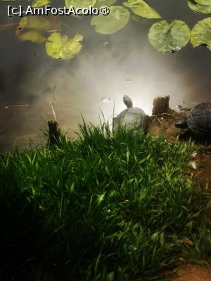 [P21]  -- <small>// FĂRĂ DESCRIERE</small> » foto by Cristian_h
 - 
<span class="allrVoted glyphicon glyphicon-heart hidden" id="av1524773"></span>
<a class="m-l-10 hidden" id="sv1524773" onclick="voting_Foto_DelVot(,1524773,2510)" role="button">șterge vot <span class="glyphicon glyphicon-remove"></span></a>
<a id="v91524773" class=" c-red"  onclick="voting_Foto_SetVot(1524773)" role="button"><span class="glyphicon glyphicon-heart-empty"></span> <b>LIKE</b> = Votează poza</a> <img class="hidden"  id="f1524773W9" src="/imagini/loader.gif" border="0" /><span class="AjErrMes hidden" id="e1524773ErM"></span>