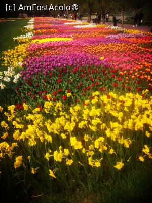 [P03]  -- <small>// FĂRĂ DESCRIERE</small> » foto by Cristian_h
 - 
<span class="allrVoted glyphicon glyphicon-heart hidden" id="av1524755"></span>
<a class="m-l-10 hidden" id="sv1524755" onclick="voting_Foto_DelVot(,1524755,2510)" role="button">șterge vot <span class="glyphicon glyphicon-remove"></span></a>
<a id="v91524755" class=" c-red"  onclick="voting_Foto_SetVot(1524755)" role="button"><span class="glyphicon glyphicon-heart-empty"></span> <b>LIKE</b> = Votează poza</a> <img class="hidden"  id="f1524755W9" src="/imagini/loader.gif" border="0" /><span class="AjErrMes hidden" id="e1524755ErM"></span>