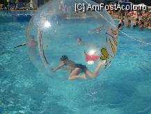 [P19] BALON IN PISCINA » foto by viorica c
 - 
<span class="allrVoted glyphicon glyphicon-heart hidden" id="av14028"></span>
<a class="m-l-10 hidden" id="sv14028" onclick="voting_Foto_DelVot(,14028,2555)" role="button">șterge vot <span class="glyphicon glyphicon-remove"></span></a>
<a id="v914028" class=" c-red"  onclick="voting_Foto_SetVot(14028)" role="button"><span class="glyphicon glyphicon-heart-empty"></span> <b>LIKE</b> = Votează poza</a> <img class="hidden"  id="f14028W9" src="/imagini/loader.gif" border="0" /><span class="AjErrMes hidden" id="e14028ErM"></span>