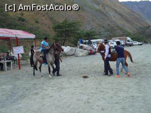 [P04] la Santa Teresa, rodeo » foto by buterfly*
 - 
<span class="allrVoted glyphicon glyphicon-heart hidden" id="av825347"></span>
<a class="m-l-10 hidden" id="sv825347" onclick="voting_Foto_DelVot(,825347,2606)" role="button">șterge vot <span class="glyphicon glyphicon-remove"></span></a>
<a id="v9825347" class=" c-red"  onclick="voting_Foto_SetVot(825347)" role="button"><span class="glyphicon glyphicon-heart-empty"></span> <b>LIKE</b> = Votează poza</a> <img class="hidden"  id="f825347W9" src="/imagini/loader.gif" border="0" /><span class="AjErrMes hidden" id="e825347ErM"></span>