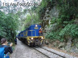 [P12] trenul spre Macchu Picchu » foto by buterfly*
 - 
<span class="allrVoted glyphicon glyphicon-heart hidden" id="av826186"></span>
<a class="m-l-10 hidden" id="sv826186" onclick="voting_Foto_DelVot(,826186,2606)" role="button">șterge vot <span class="glyphicon glyphicon-remove"></span></a>
<a id="v9826186" class=" c-red"  onclick="voting_Foto_SetVot(826186)" role="button"><span class="glyphicon glyphicon-heart-empty"></span> <b>LIKE</b> = Votează poza</a> <img class="hidden"  id="f826186W9" src="/imagini/loader.gif" border="0" /><span class="AjErrMes hidden" id="e826186ErM"></span>