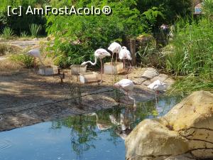 P29 [JUN-2021] A doua vacanță în Tunisia – la Zoo