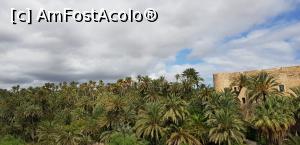 P37 [SEP-2019] Hai hui prin Elche - palmierii şi Palatul Altamira