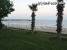[P24]  -- <small>// FĂRĂ DESCRIERE</small> » foto by kristache
 - 
<span class="allrVoted glyphicon glyphicon-heart hidden" id="av335199"></span>
<a class="m-l-10 hidden" id="sv335199" onclick="voting_Foto_DelVot(,335199,2682)" role="button">șterge vot <span class="glyphicon glyphicon-remove"></span></a>
<a id="v9335199" class=" c-red"  onclick="voting_Foto_SetVot(335199)" role="button"><span class="glyphicon glyphicon-heart-empty"></span> <b>LIKE</b> = Votează poza</a> <img class="hidden"  id="f335199W9" src="/imagini/loader.gif" border="0" /><span class="AjErrMes hidden" id="e335199ErM"></span>