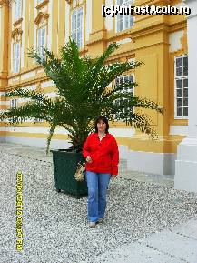 [P24]  -- <small>// FĂRĂ DESCRIERE</small> » foto by adryana
 - 
<span class="allrVoted glyphicon glyphicon-heart hidden" id="av313282"></span>
<a class="m-l-10 hidden" id="sv313282" onclick="voting_Foto_DelVot(,313282,2854)" role="button">șterge vot <span class="glyphicon glyphicon-remove"></span></a>
<a id="v9313282" class=" c-red"  onclick="voting_Foto_SetVot(313282)" role="button"><span class="glyphicon glyphicon-heart-empty"></span> <b>LIKE</b> = Votează poza</a> <img class="hidden"  id="f313282W9" src="/imagini/loader.gif" border="0" /><span class="AjErrMes hidden" id="e313282ErM"></span>