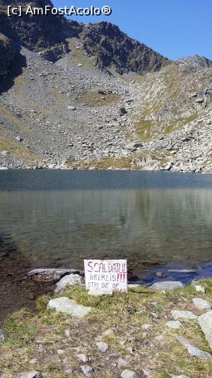 [P18] Scaldatul in lac e interzis. 
Nu scrie insa nicaieri ca nu-ti poti racori picioarele... senzatie de nedescris... nu si atunci cand te aprovizionezi cu apa...  » foto by raducondurache
 - 
<span class="allrVoted glyphicon glyphicon-heart hidden" id="av895313"></span>
<a class="m-l-10 hidden" id="sv895313" onclick="voting_Foto_DelVot(,895313,2855)" role="button">șterge vot <span class="glyphicon glyphicon-remove"></span></a>
<a id="v9895313" class=" c-red"  onclick="voting_Foto_SetVot(895313)" role="button"><span class="glyphicon glyphicon-heart-empty"></span> <b>LIKE</b> = Votează poza</a> <img class="hidden"  id="f895313W9" src="/imagini/loader.gif" border="0" /><span class="AjErrMes hidden" id="e895313ErM"></span>