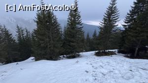 [P08] Spre Vârful Serbota » foto by Mika
 - 
<span class="allrVoted glyphicon glyphicon-heart hidden" id="av1525879"></span>
<a class="m-l-10 hidden" id="sv1525879" onclick="voting_Foto_DelVot(,1525879,2855)" role="button">șterge vot <span class="glyphicon glyphicon-remove"></span></a>
<a id="v91525879" class=" c-red"  onclick="voting_Foto_SetVot(1525879)" role="button"><span class="glyphicon glyphicon-heart-empty"></span> <b>LIKE</b> = Votează poza</a> <img class="hidden"  id="f1525879W9" src="/imagini/loader.gif" border="0" /><span class="AjErrMes hidden" id="e1525879ErM"></span>