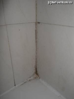 [P09] Cam asta veti gasi pe peretii de la cada » foto by pnnicoleta
 - 
<span class="allrVoted glyphicon glyphicon-heart hidden" id="av531830"></span>
<a class="m-l-10 hidden" id="sv531830" onclick="voting_Foto_DelVot(,531830,2905)" role="button">șterge vot <span class="glyphicon glyphicon-remove"></span></a>
<a id="v9531830" class=" c-red"  onclick="voting_Foto_SetVot(531830)" role="button"><span class="glyphicon glyphicon-heart-empty"></span> <b>LIKE</b> = Votează poza</a> <img class="hidden"  id="f531830W9" src="/imagini/loader.gif" border="0" /><span class="AjErrMes hidden" id="e531830ErM"></span>