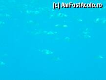 [P15]  -- <small>// FĂRĂ DESCRIERE</small> » foto by sniga
 - 
<span class="allrVoted glyphicon glyphicon-heart hidden" id="av206850"></span>
<a class="m-l-10 hidden" id="sv206850" onclick="voting_Foto_DelVot(,206850,3004)" role="button">șterge vot <span class="glyphicon glyphicon-remove"></span></a>
<a id="v9206850" class=" c-red"  onclick="voting_Foto_SetVot(206850)" role="button"><span class="glyphicon glyphicon-heart-empty"></span> <b>LIKE</b> = Votează poza</a> <img class="hidden"  id="f206850W9" src="/imagini/loader.gif" border="0" /><span class="AjErrMes hidden" id="e206850ErM"></span>