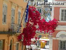 [P19]  -- <small>// FĂRĂ DESCRIERE</small> » foto by sniga
 - 
<span class="allrVoted glyphicon glyphicon-heart hidden" id="av206855"></span>
<a class="m-l-10 hidden" id="sv206855" onclick="voting_Foto_DelVot(,206855,3004)" role="button">șterge vot <span class="glyphicon glyphicon-remove"></span></a>
<a id="v9206855" class=" c-red"  onclick="voting_Foto_SetVot(206855)" role="button"><span class="glyphicon glyphicon-heart-empty"></span> <b>LIKE</b> = Votează poza</a> <img class="hidden"  id="f206855W9" src="/imagini/loader.gif" border="0" /><span class="AjErrMes hidden" id="e206855ErM"></span>