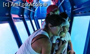 [P13] Cu mic, cu mare, ne uităm fascinaţi la lumea de dincolo de sticlă » foto by Lucien
 - 
<span class="allrVoted glyphicon glyphicon-heart hidden" id="av729759"></span>
<a class="m-l-10 hidden" id="sv729759" onclick="voting_Foto_DelVot(,729759,3004)" role="button">șterge vot <span class="glyphicon glyphicon-remove"></span></a>
<a id="v9729759" class=" c-red"  onclick="voting_Foto_SetVot(729759)" role="button"><span class="glyphicon glyphicon-heart-empty"></span> <b>LIKE</b> = Votează poza</a> <img class="hidden"  id="f729759W9" src="/imagini/loader.gif" border="0" /><span class="AjErrMes hidden" id="e729759ErM"></span>