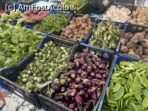 [P24] Catania- A Fare o Luni » foto by Yersinia Pestis
 - 
<span class="allrVoted glyphicon glyphicon-heart hidden" id="av1516437"></span>
<a class="m-l-10 hidden" id="sv1516437" onclick="voting_Foto_DelVot(,1516437,3109)" role="button">șterge vot <span class="glyphicon glyphicon-remove"></span></a>
<a id="v91516437" class=" c-red"  onclick="voting_Foto_SetVot(1516437)" role="button"><span class="glyphicon glyphicon-heart-empty"></span> <b>LIKE</b> = Votează poza</a> <img class="hidden"  id="f1516437W9" src="/imagini/loader.gif" border="0" /><span class="AjErrMes hidden" id="e1516437ErM"></span>