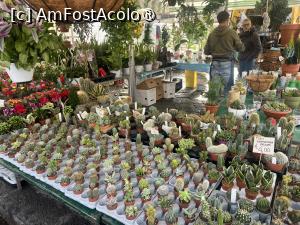 [P25] Catania -A Fare o’Luni. Cactuși » foto by Yersinia Pestis
 - 
<span class="allrVoted glyphicon glyphicon-heart hidden" id="av1516438"></span>
<a class="m-l-10 hidden" id="sv1516438" onclick="voting_Foto_DelVot(,1516438,3109)" role="button">șterge vot <span class="glyphicon glyphicon-remove"></span></a>
<a id="v91516438" class=" c-red"  onclick="voting_Foto_SetVot(1516438)" role="button"><span class="glyphicon glyphicon-heart-empty"></span> <b>LIKE</b> = Votează poza</a> <img class="hidden"  id="f1516438W9" src="/imagini/loader.gif" border="0" /><span class="AjErrMes hidden" id="e1516438ErM"></span>