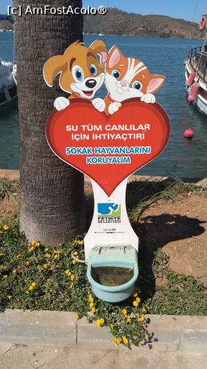 [P32] Apa este o necesitate pentru toate ființele vii. Să protejăm animalele fără stăpân. Fântâni cu apă montate de Municipalitate în tot orașul. » foto by ovidiuyepi
 - 
<span class="allrVoted glyphicon glyphicon-heart hidden" id="av1492773"></span>
<a class="m-l-10 hidden" id="sv1492773" onclick="voting_Foto_DelVot(,1492773,3123)" role="button">șterge vot <span class="glyphicon glyphicon-remove"></span></a>
<a id="v91492773" class=" c-red"  onclick="voting_Foto_SetVot(1492773)" role="button"><span class="glyphicon glyphicon-heart-empty"></span> <b>LIKE</b> = Votează poza</a> <img class="hidden"  id="f1492773W9" src="/imagini/loader.gif" border="0" /><span class="AjErrMes hidden" id="e1492773ErM"></span>