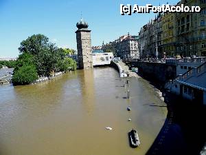 [P37] Vltava crescută peste nivelul obişnuit. Lebedele însă se plimbau nestingherite.  » foto by ariciu
 - 
<span class="allrVoted glyphicon glyphicon-heart hidden" id="av427410"></span>
<a class="m-l-10 hidden" id="sv427410" onclick="voting_Foto_DelVot(,427410,3167)" role="button">șterge vot <span class="glyphicon glyphicon-remove"></span></a>
<a id="v9427410" class=" c-red"  onclick="voting_Foto_SetVot(427410)" role="button"><span class="glyphicon glyphicon-heart-empty"></span> <b>LIKE</b> = Votează poza</a> <img class="hidden"  id="f427410W9" src="/imagini/loader.gif" border="0" /><span class="AjErrMes hidden" id="e427410ErM"></span>