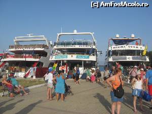 [P16] Portul Nidri, locul de acostament a celor trei vedete ale croazierelor, 'Makedonia Palace', 'Nidri Star I' si 'Eptanisos' » foto by dorgo
 - 
<span class="allrVoted glyphicon glyphicon-heart hidden" id="av519765"></span>
<a class="m-l-10 hidden" id="sv519765" onclick="voting_Foto_DelVot(,519765,3173)" role="button">șterge vot <span class="glyphicon glyphicon-remove"></span></a>
<a id="v9519765" class=" c-red"  onclick="voting_Foto_SetVot(519765)" role="button"><span class="glyphicon glyphicon-heart-empty"></span> <b>LIKE</b> = Votează poza</a> <img class="hidden"  id="f519765W9" src="/imagini/loader.gif" border="0" /><span class="AjErrMes hidden" id="e519765ErM"></span>