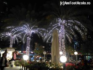 P11 [MAR-2013] Plimbare de noapte in Dubai Marina - terase, flori si palmieri