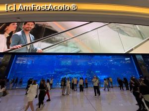 [P28] Acvariul din Mall văzut de afară » foto by AZE
 - 
<span class="allrVoted glyphicon glyphicon-heart hidden" id="av1475110"></span>
<a class="m-l-10 hidden" id="sv1475110" onclick="voting_Foto_DelVot(,1475110,3199)" role="button">șterge vot <span class="glyphicon glyphicon-remove"></span></a>
<a id="v91475110" class=" c-red"  onclick="voting_Foto_SetVot(1475110)" role="button"><span class="glyphicon glyphicon-heart-empty"></span> <b>LIKE</b> = Votează poza</a> <img class="hidden"  id="f1475110W9" src="/imagini/loader.gif" border="0" /><span class="AjErrMes hidden" id="e1475110ErM"></span>