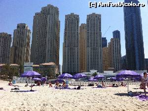 [P03] Superba plaja Dubai Marina » foto by sorin249
 - 
<span class="allrVoted glyphicon glyphicon-heart hidden" id="av526382"></span>
<a class="m-l-10 hidden" id="sv526382" onclick="voting_Foto_DelVot(,526382,3199)" role="button">șterge vot <span class="glyphicon glyphicon-remove"></span></a>
<a id="v9526382" class=" c-red"  onclick="voting_Foto_SetVot(526382)" role="button"><span class="glyphicon glyphicon-heart-empty"></span> <b>LIKE</b> = Votează poza</a> <img class="hidden"  id="f526382W9" src="/imagini/loader.gif" border="0" /><span class="AjErrMes hidden" id="e526382ErM"></span>