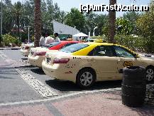 [P5x] Taxi in Dubai » foto by david
 - 
<span class="allrVoted glyphicon glyphicon-heart hidden" id="av32882"></span>
<a class="m-l-10 hidden" id="sv32882" onclick="voting_Foto_DelVot(,32882,3199)" role="button">șterge vot <span class="glyphicon glyphicon-remove"></span></a>
<a id="v932882" class=" c-red"  onclick="voting_Foto_SetVot(32882)" role="button"><span class="glyphicon glyphicon-heart-empty"></span> <b>LIKE</b> = Votează poza</a> <img class="hidden"  id="f32882W9" src="/imagini/loader.gif" border="0" /><span class="AjErrMes hidden" id="e32882ErM"></span>